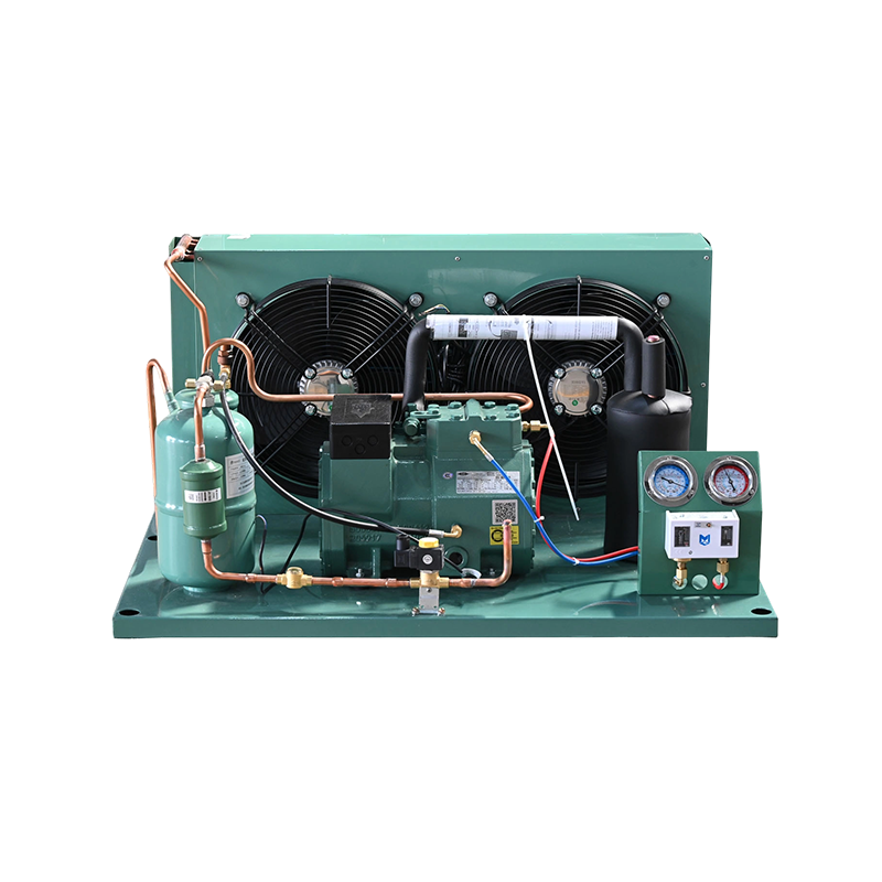 Bitzer-Schraubeneinheit